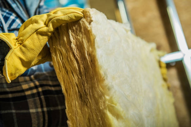 Best Insulation Maintenance and Repair in Franklin Furnace, OH